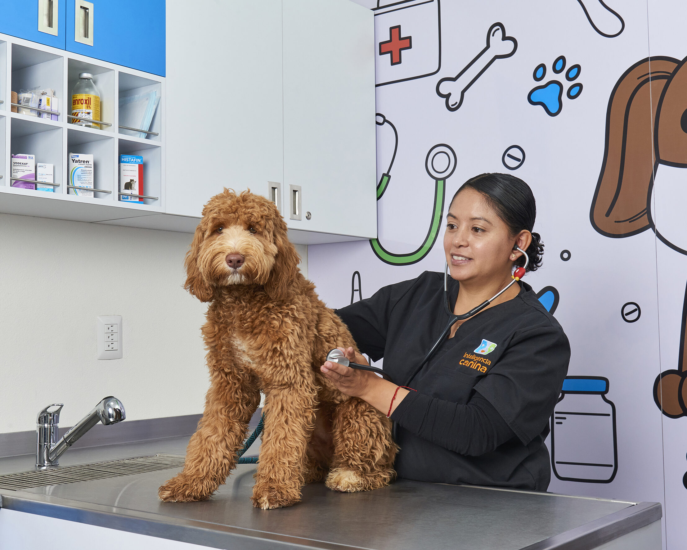 Inteligencia Canina MVZ