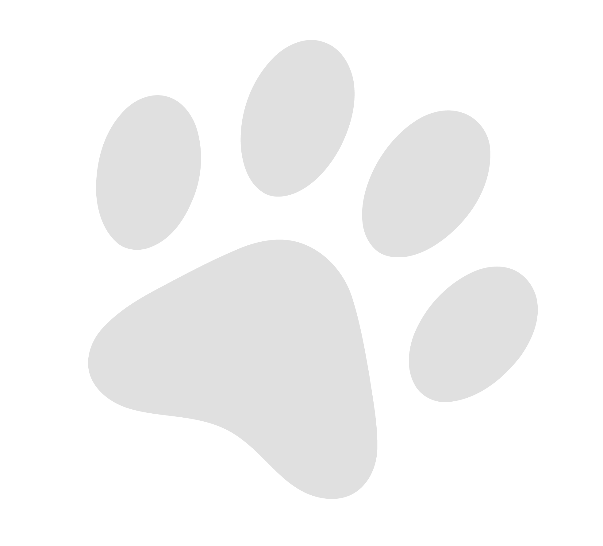Nuevos iconos inteligencia canina-05