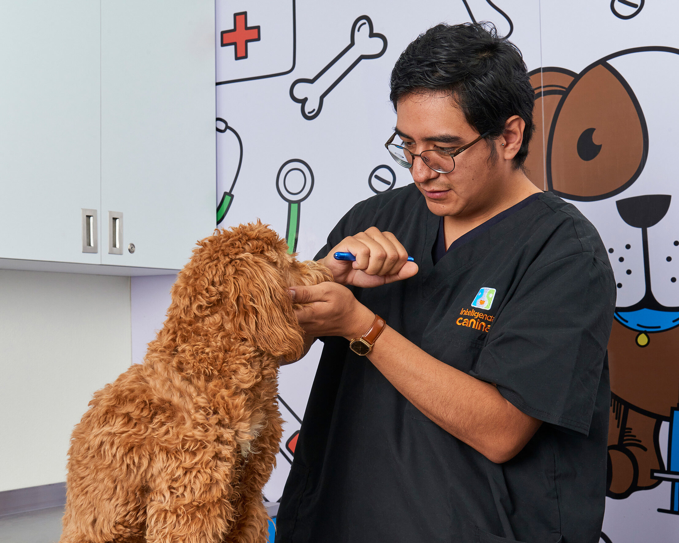 medicina-preventiva-veterinaria-cdmx