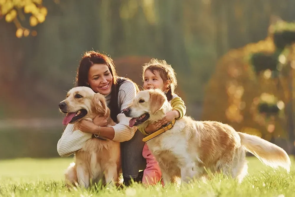 5 objetivos que puedes lograr con tu perro en 2024