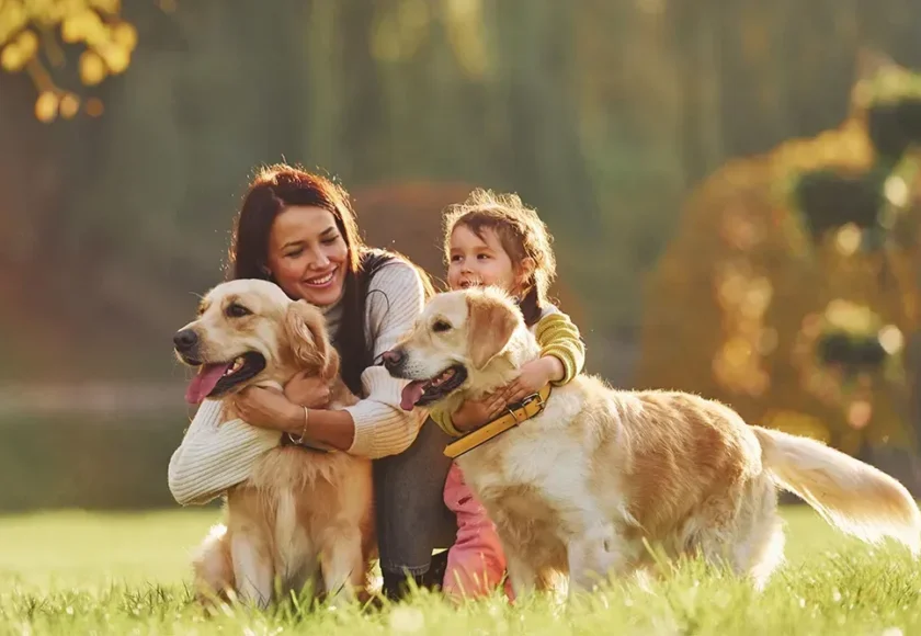 5 objetivos que puedes lograr con tu perro en 2024