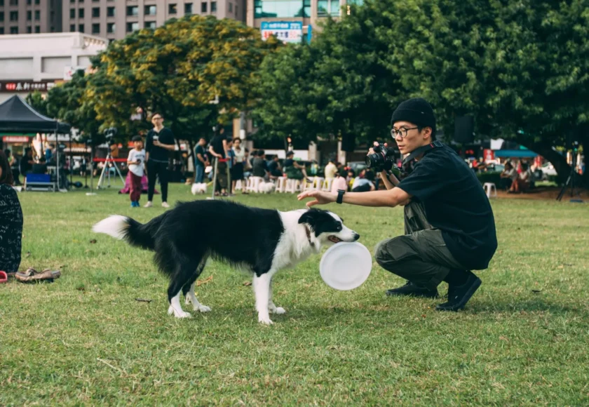 Los juguetes más cool para perros