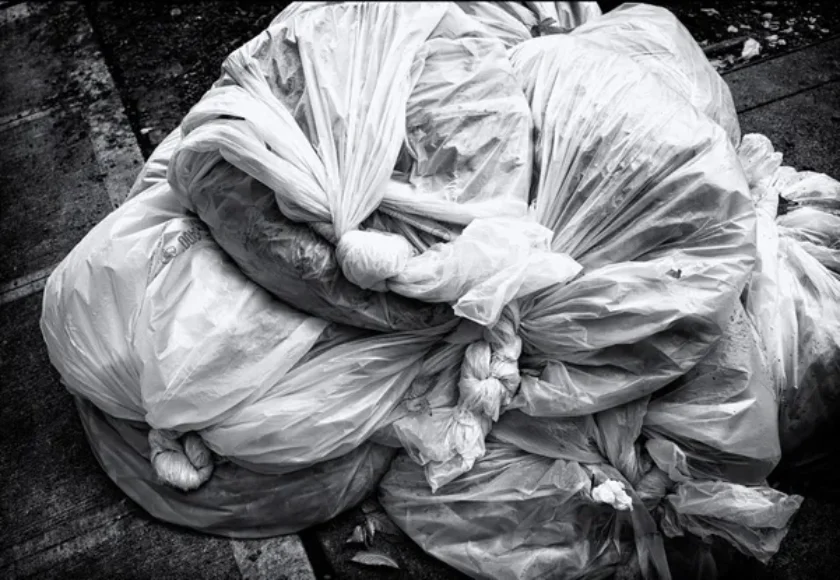 Todo lo que debes saber sobre las bolsas para recoger la popó de perro