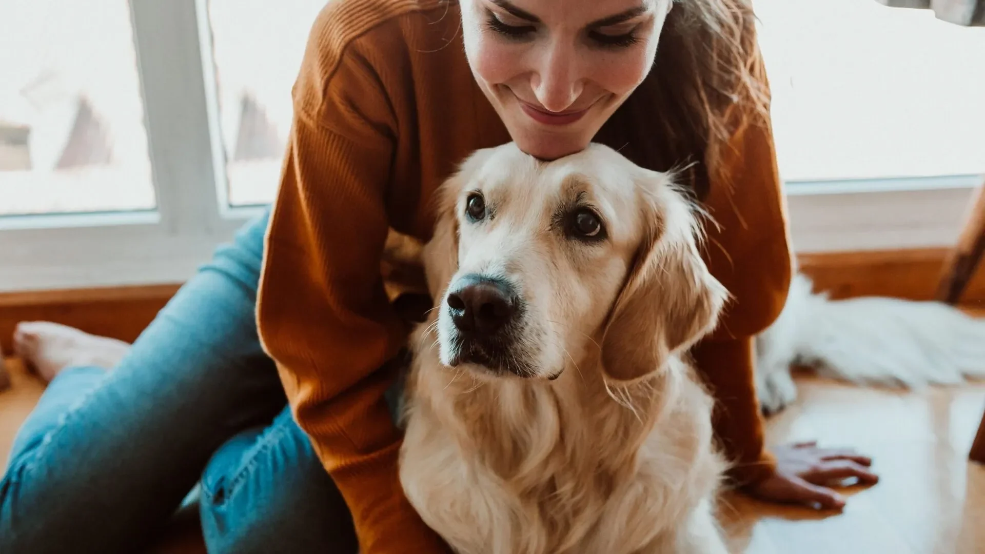 entrenador+de+perros-1920w