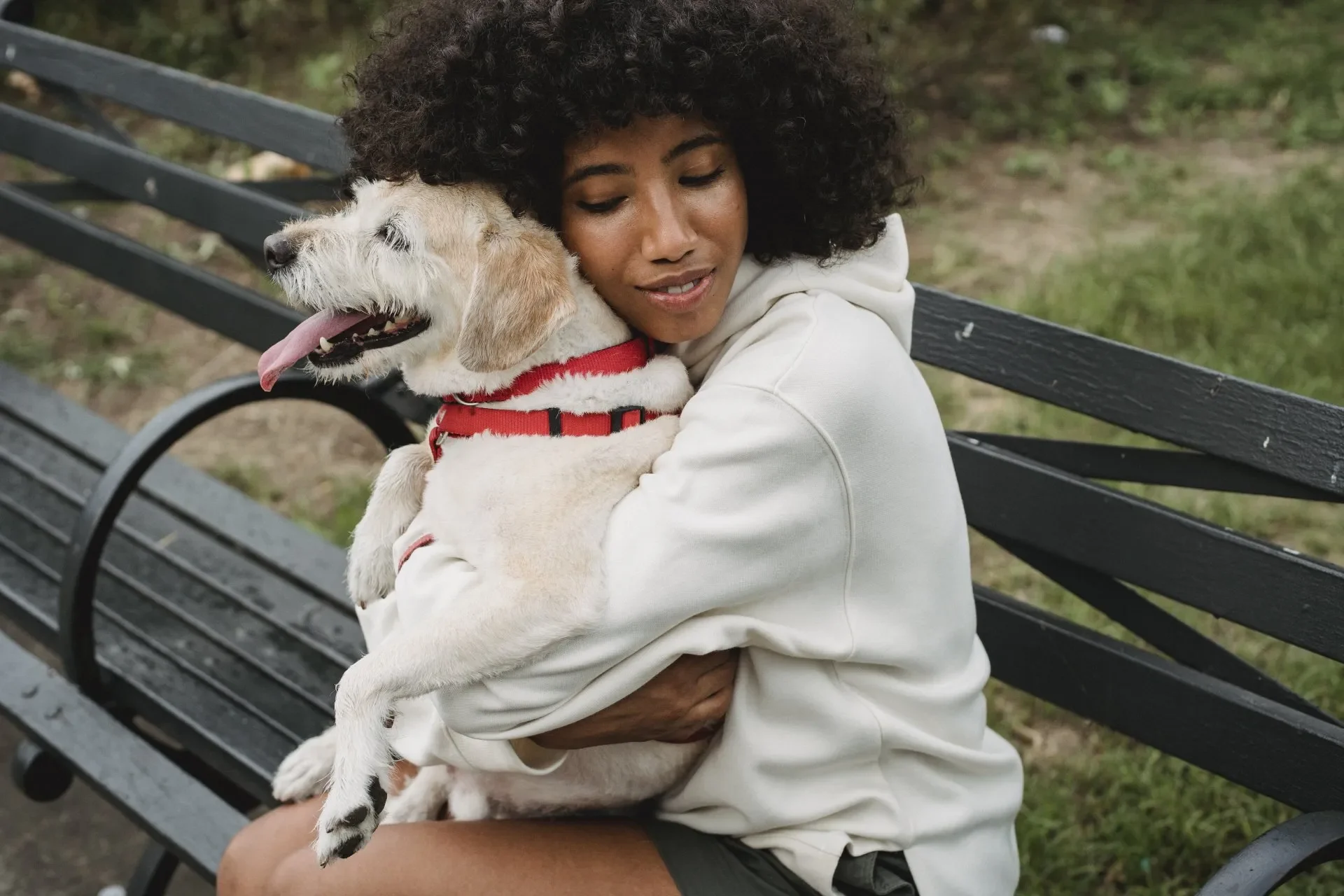 Los Perros de Soporte Emocional: ¿Qué Función Tienen?, ¿Mi Mascota Puede Serlo?
