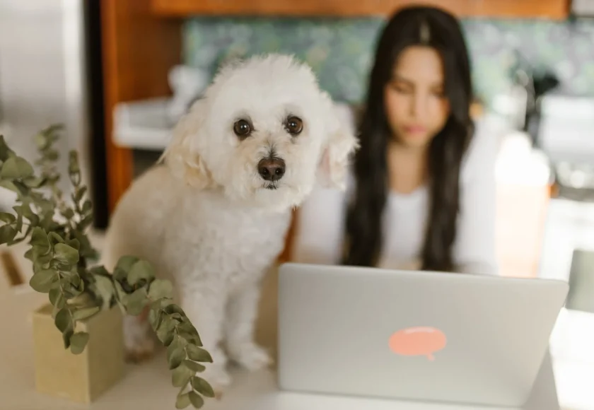 pexels-photo-8489388-1920w