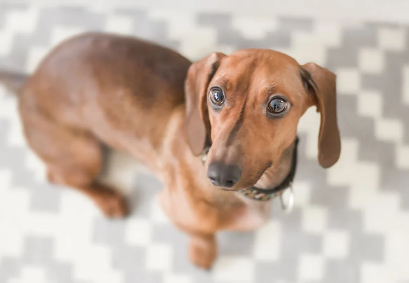 pexels-photo-895257-1920w