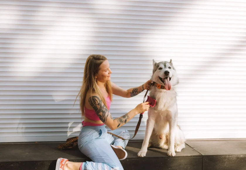 que-hacer-con-perros-durante-sismo