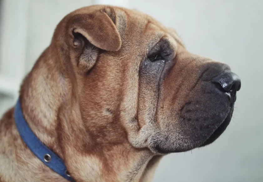 photo-1573042727028-ff85da8ea461-1920w