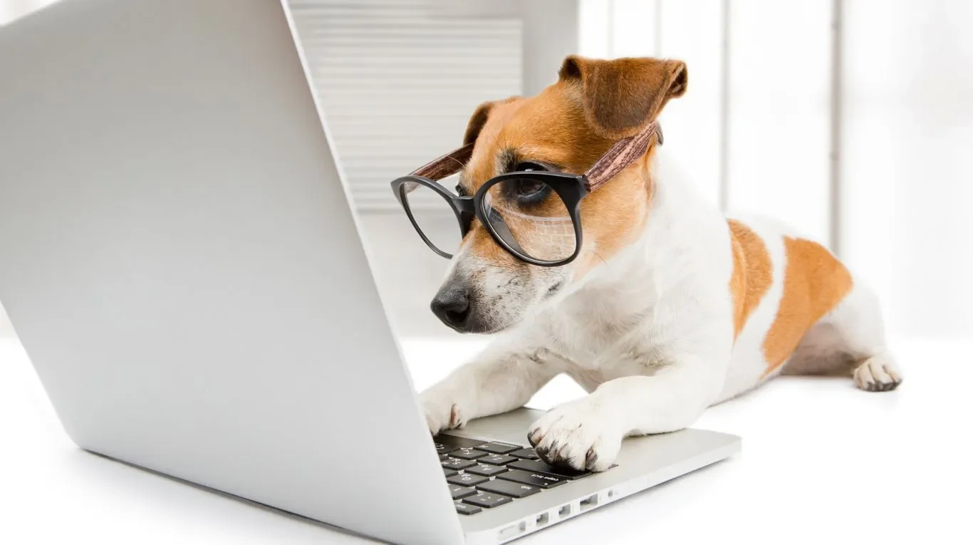 perros-famosos-de-tiktok