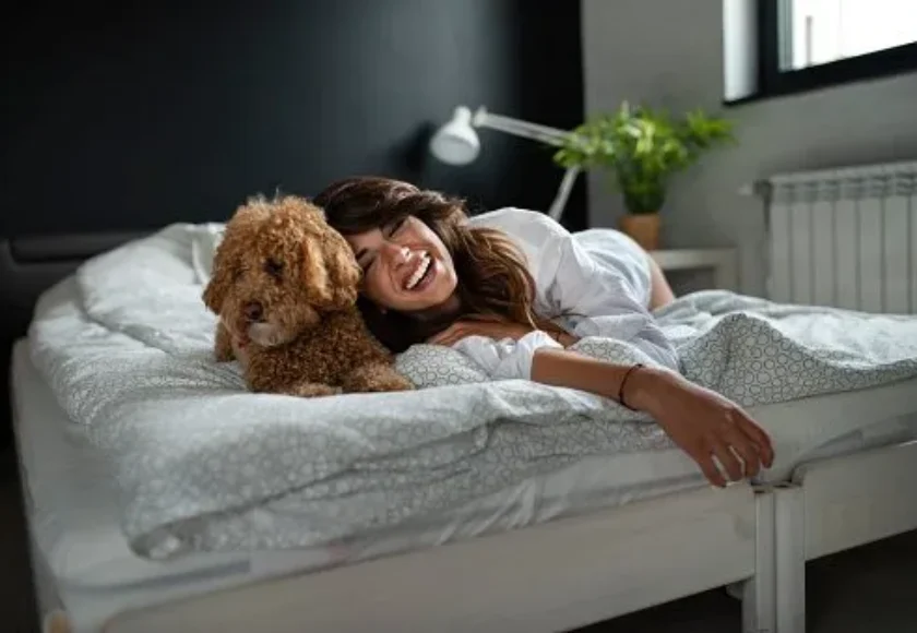 tu-perro-debe-dormir-en-tu-cama-1920w