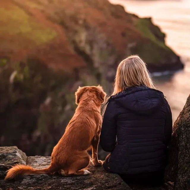 10 Señales que Indican que Eres un Excelente Dueño de un Perro