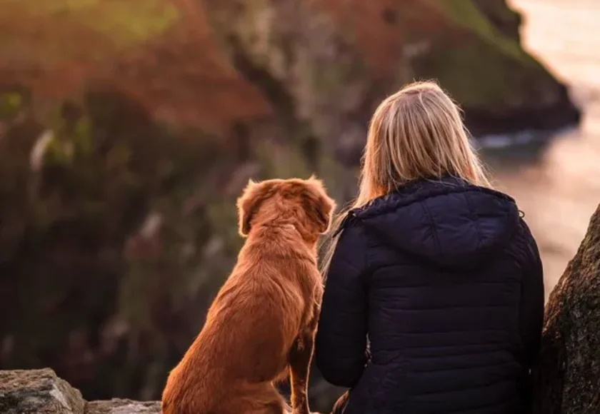 10 Señales que Indican que Eres un Excelente Dueño de un Perro