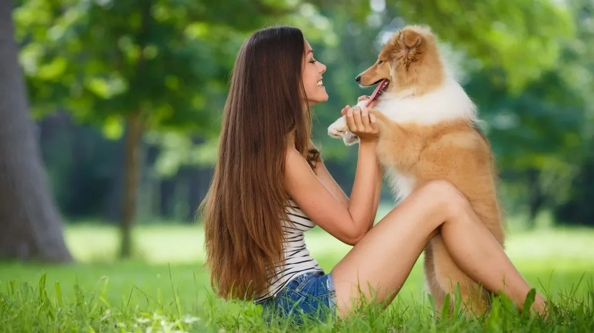 azas-de-perros-recomendadas-para-personas-con-alergias