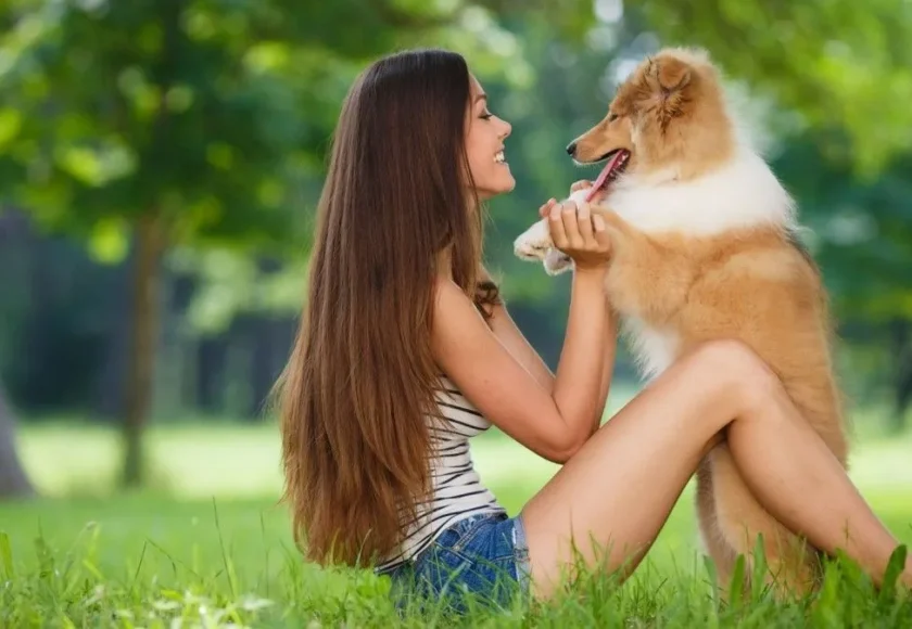 azas-de-perros-recomendadas-para-personas-con-alergias