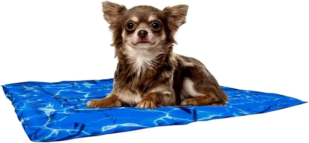 tapetes-refrescantes-para-perros-guia-para-elegir-los-mejores