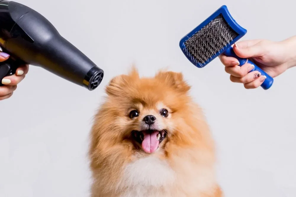 De-la-belleza-a-la-salud-2-1920w