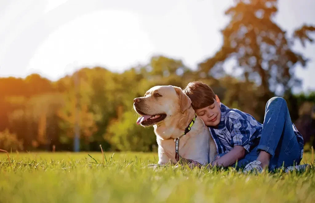 exprimir-las-glandulas-anales-de-tu-perro-con-exito