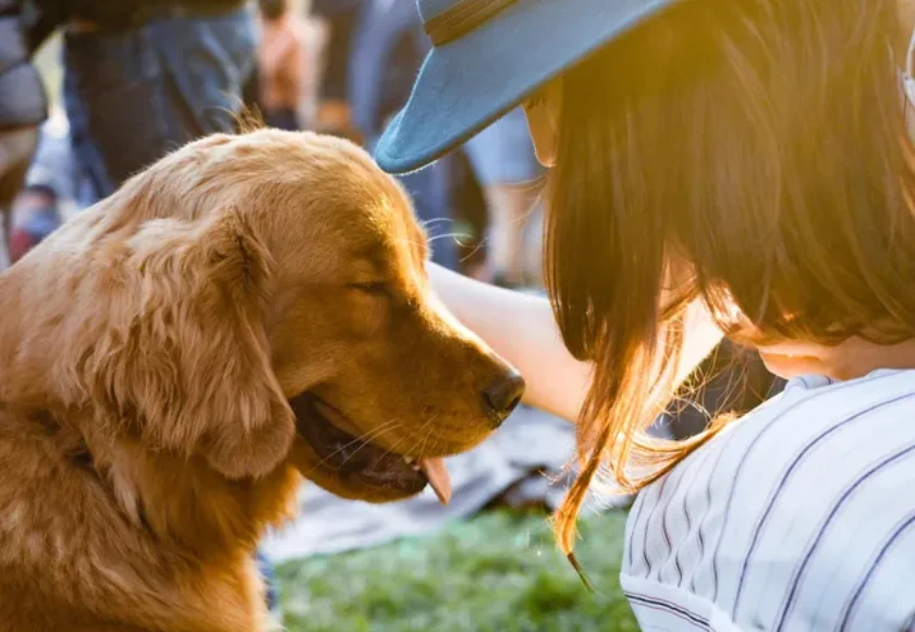Obligaciones legales que tienen los dueños de perros en CDMX