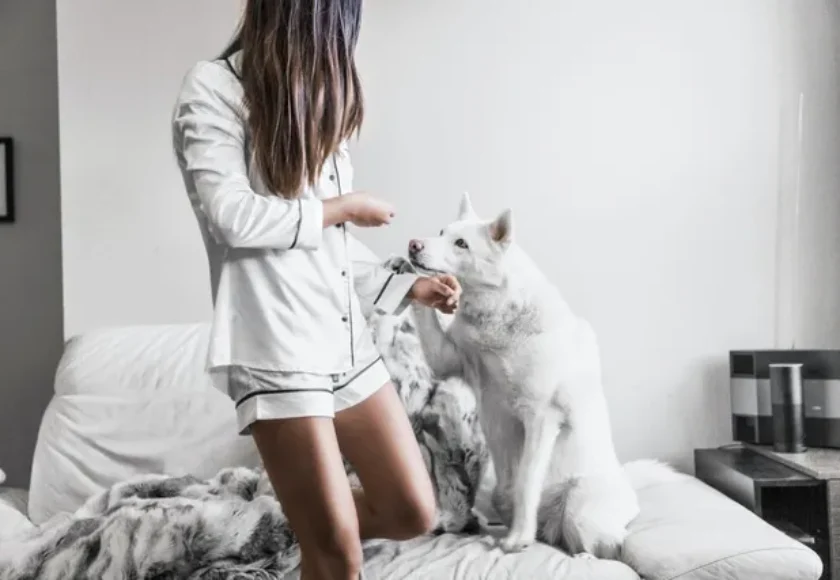 Todo sobre la desparacitación de tu perro