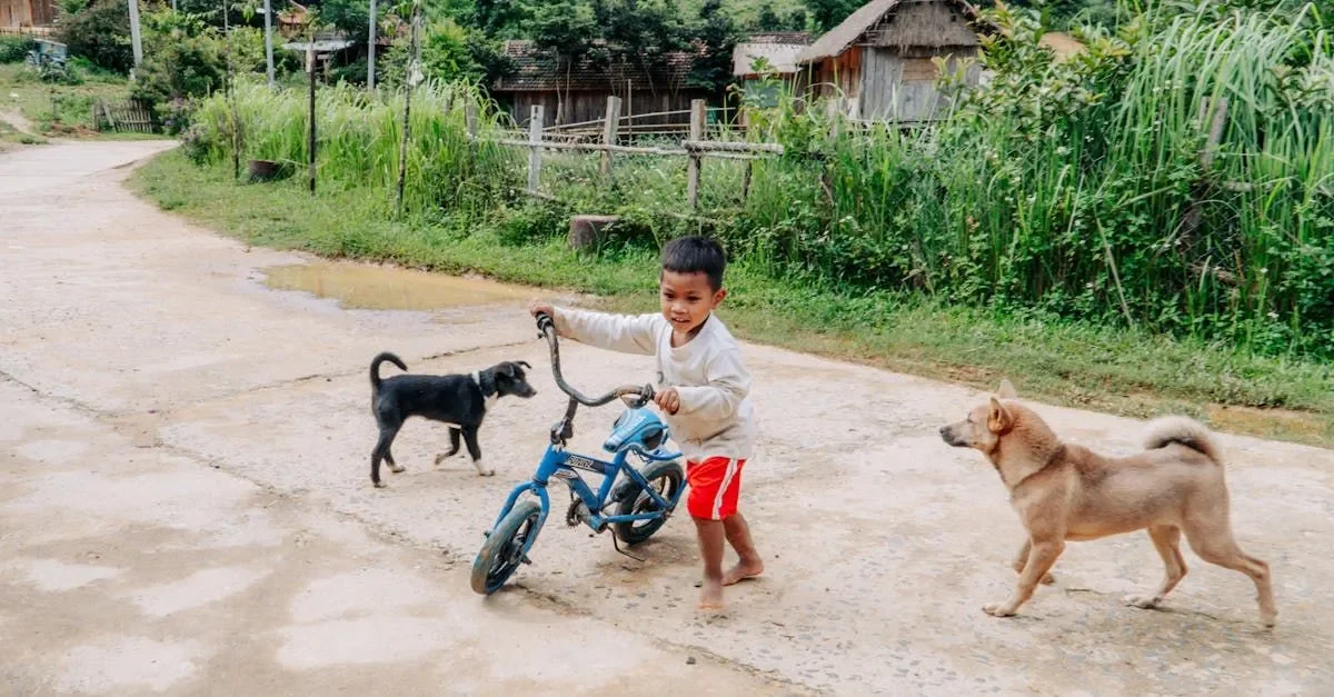 hijos-y-perros-las-razas-de-perros-que-conviven-mejor-con-los-ninos
