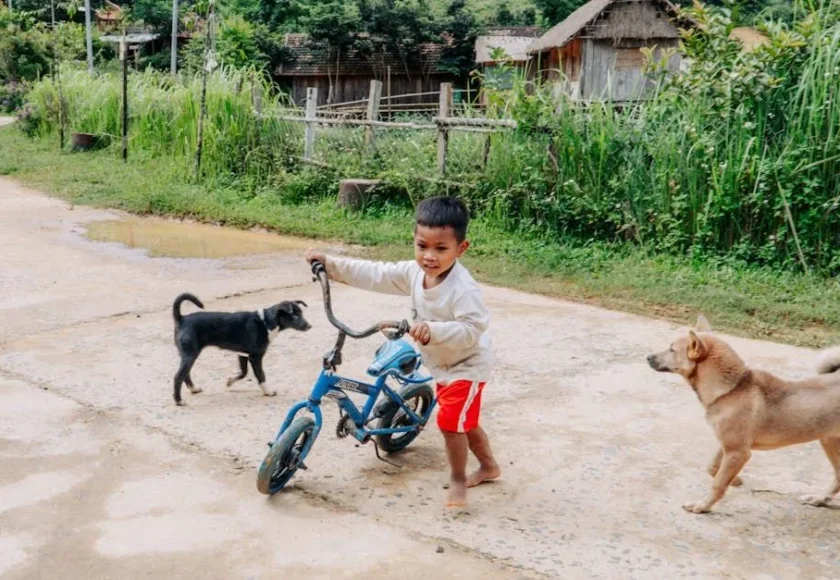 hijos-y-perros-las-razas-de-perros-que-conviven-mejor-con-los-ninos