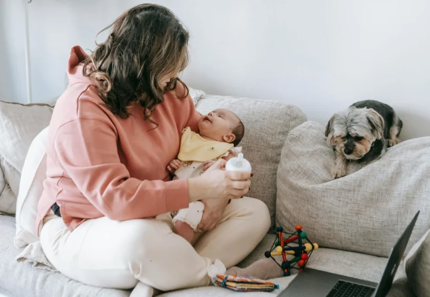 verdad-o-mito-celos-en-los-perros