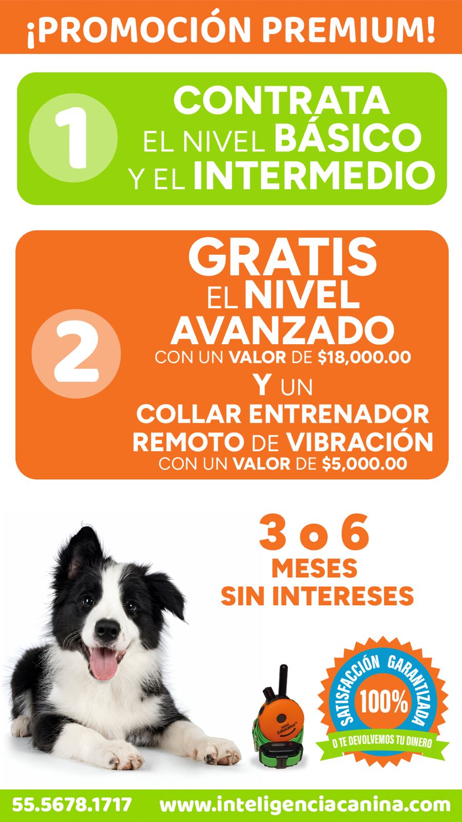 Promoción Adiestramiento Canino
