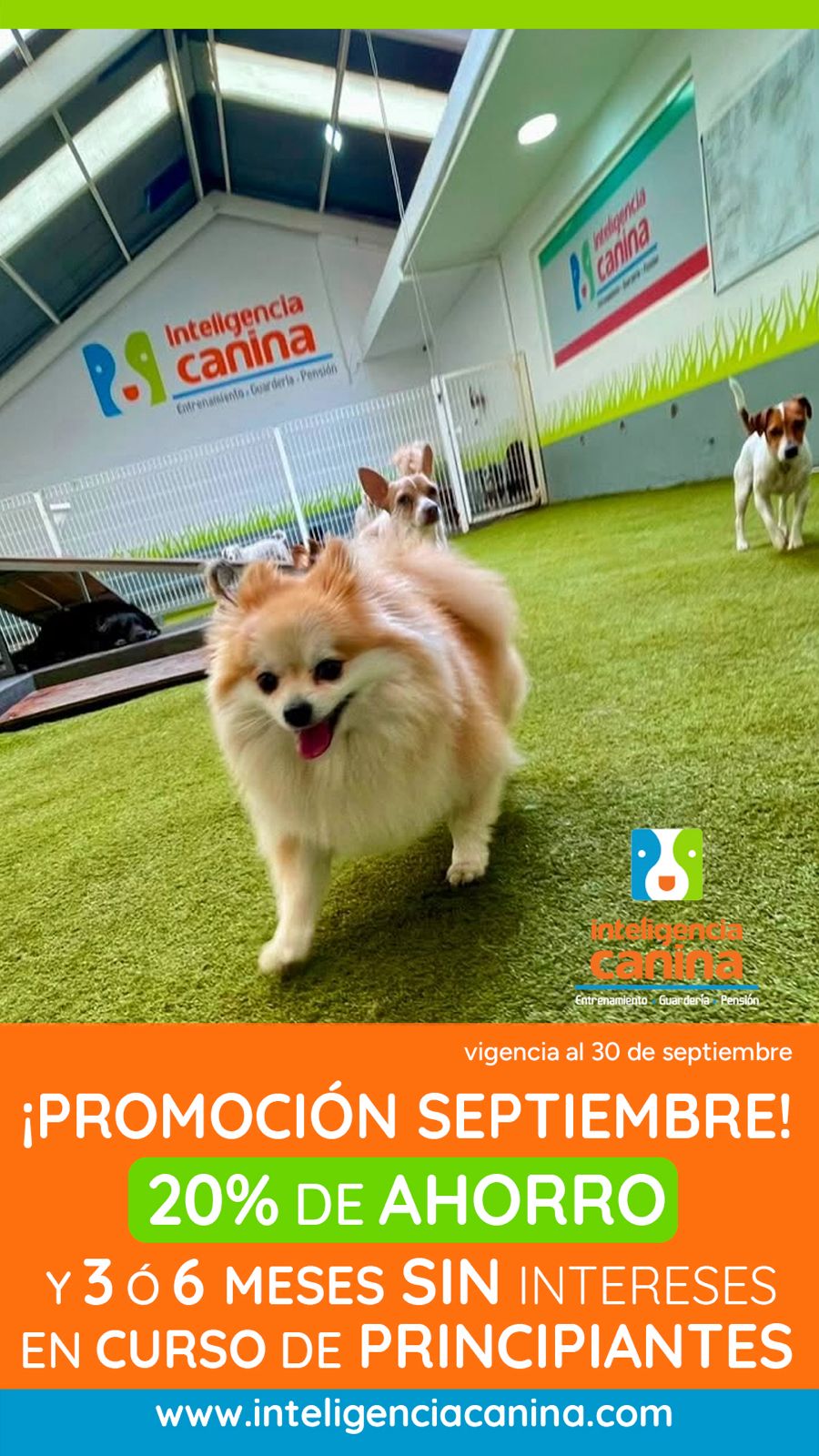 Promociones Inteligencia Canina Septiembre 2026